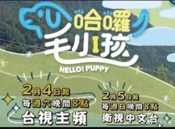 哈啰！毛小孩