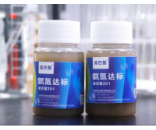 生化系統(tǒng)崩潰，氨氮超標(biāo)，我該怎么辦?